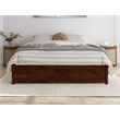 Pemberly Row Queen Solid Wood Panel Platform Bed with Twin XL Trundle in Walnut