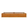 Pemberly Row Queen Wood Panel Platform Bed with Twin XL Trundle in Light Toffee