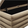 Pemberly Row Upholstered Performance Velvet Storage Bench in Taupe