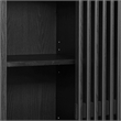 Pemberly Row Modern / Contemporary Storage Display Cabinet in Black