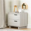 Pemberly Row Modern / Contemporary 2 Drawer Nightstand in Winter Oak