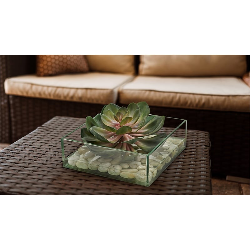Pemberly Row Contemporary Pink/Green Echeveria in Marina Bowl