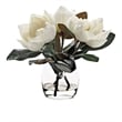 Pemberly Row Contemporary White Eva Magnolia Stems in Tumbler Vase