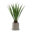 Pemberly Row Contemporary 4' Faux Agave Plant in Grey Marta Planter