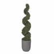 Pemberly Row Contemporary 6' Spiral Rosemary Topiary in Campbell Planter