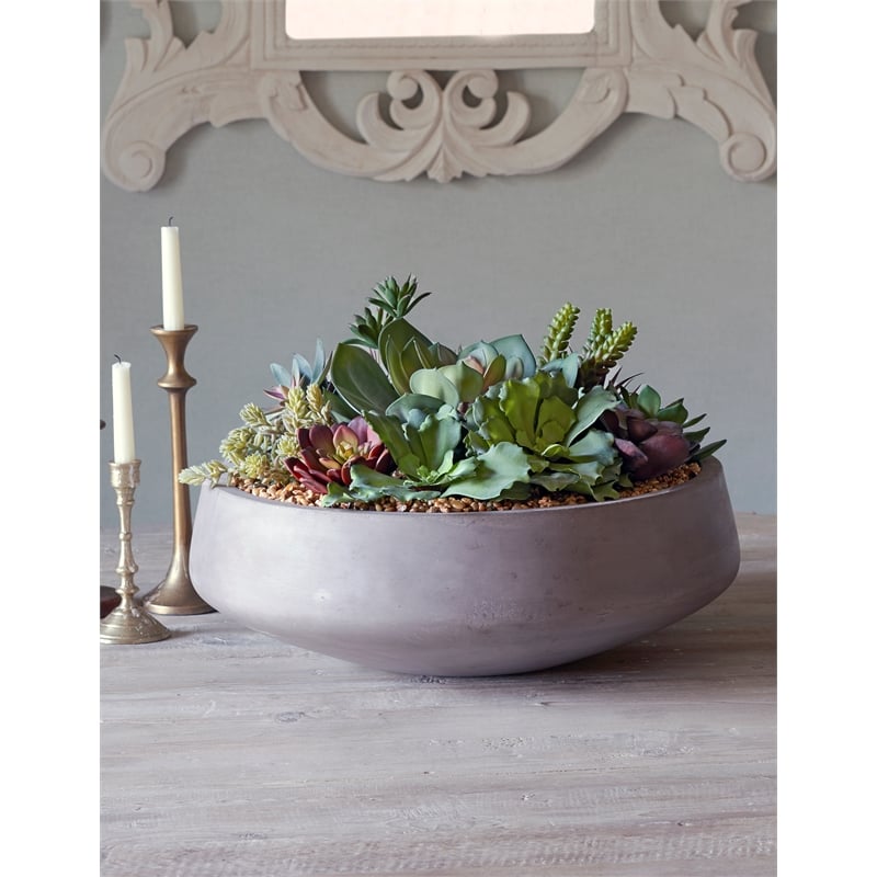 Pemberly Row Contemporary Mixed Succulents in Extra-Large Grey Newport Bowl