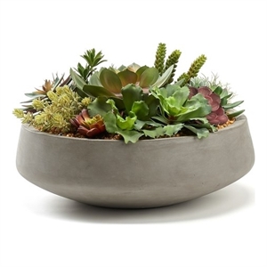 Pemberly Row Contemporary Mixed Succulents in Extra-Large Grey Newport Bowl