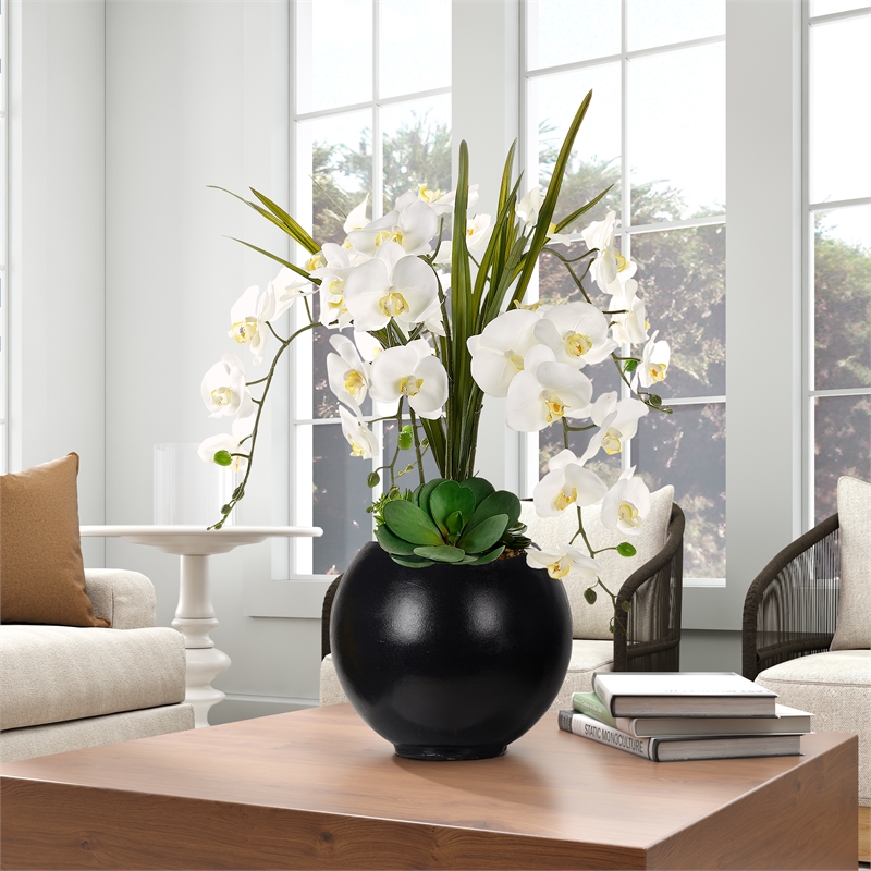 Pemberly Row Contemporary White Orchids and Echeverias in Black Porter Planter