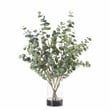 Pemberly Row Contemporary Eucalyptus in Large Rowan Vase with Black River Rock