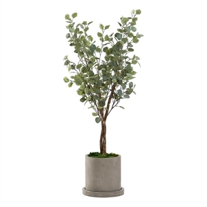 Pemberly Row Contemporary 5' Silver Dollar Eucalyptus Tree in Grey Marta Planter