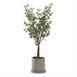 Pemberly Row Contemporary 5' Silver Dollar Eucalyptus Tree in Grey Marta Planter