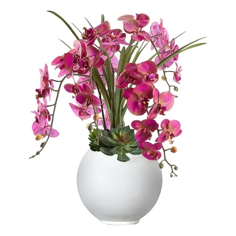 Pemberly Row Lavender Orchids and Echeverias in White Porter Planter