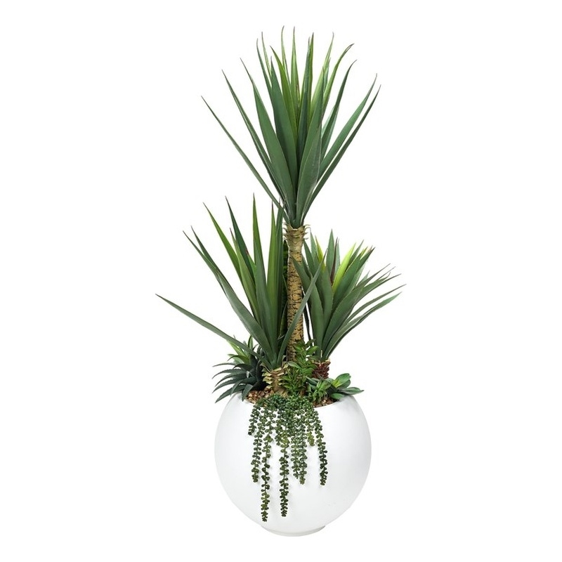 Pemberly Row 5' Sisal and Assorted Succulents in White Porter Planter