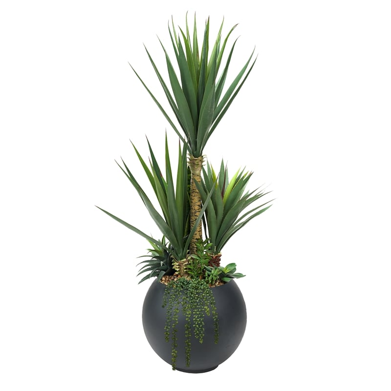 Pemberly Row 5' Sisal and Assorted Succulents in Black Porter Planter