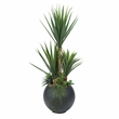 Pemberly Row 5' Sisal and Assorted Succulents in Black Porter Planter