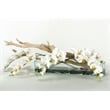 Pemberly Row White Real-Touch Phael Orchids and Ghostwood in Aquaria Planter
