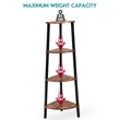 Pemberly Row 4-Tier Particle Board & Metal Brown/Black Corner Domestic Bookcase
