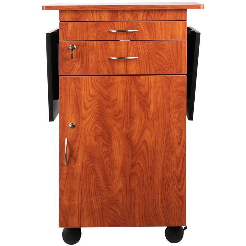 Pemberly Row Modern Wood Multimedia Cart in Wild Cherry/Black