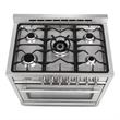 Pemberly Row 36 in. Stainless Steel Dual Fuel Range with Convection Oven