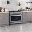 Pemberly Row 36 in. Stainless Steel Dual Fuel Range with Convection Oven