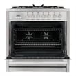 Pemberly Row 36 in. Stainless Steel Dual Fuel Range with Convection Oven