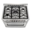 Pemberly Row 36 in. Stainless Steel Dual Fuel Range with Convection Oven