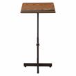 Pemberly Row Portable Presentation Metal Lectern Stand in Medium Oak