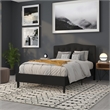 Pemberly Row Contemporary Tufted Full Panel Headboard in Black