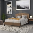 Pemberly Row Modern Tufted Queen Panel Headboard in Dark Brown