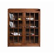 Pemberly Row Arts and Crafts 2-Door Wood Bookcase in Walnut Finish