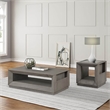 Pemberly Row Contemporary Oak Veneer End Table in Moonstone Finish