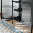 Pemberly Row Short 2-Door 3 Shelf Steel Accent Cabinet with Fluted Glass-Black
