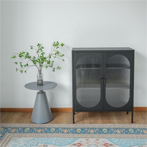 Pemberly Row Short 2-Door 3 Shelf Steel Accent Cabinet with Fluted Glass-Black