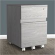Pemberly Row Contemporary 2 Drawer Mobile Vertical File Cabinet in Gray
