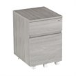 Pemberly Row Contemporary 2 Drawer Mobile Vertical File Cabinet in Gray