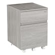 Pemberly Row Contemporary 2 Drawer Mobile Vertical File Cabinet in Gray