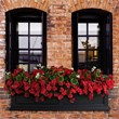 Pemberly Row 5ft Traditional Plastic Window Box in Black Finish