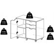 Pemberly Row 2-Section Contemporary Wood Mobile Storage File Cabinet in Black