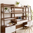 Pemberly Row 3-Piece Wood Office Desk and Bookshelf in Walnut/White