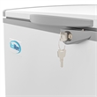 Pemberly Row Contemporary 77 in. Commercial Chest Freezer 24 cu ft.