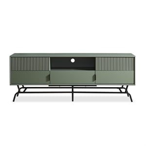 Pemberly Row Wood Multi-Storage TV Stand in Sage Green and Black
