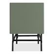 Pemberly Row Wood Multi-Storage TV Stand in Sage Green and Black