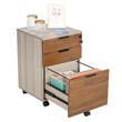 Pemberly Row 3-Drawer Modern Wood Rolling File Cabinet with Lock in Rustic Brown