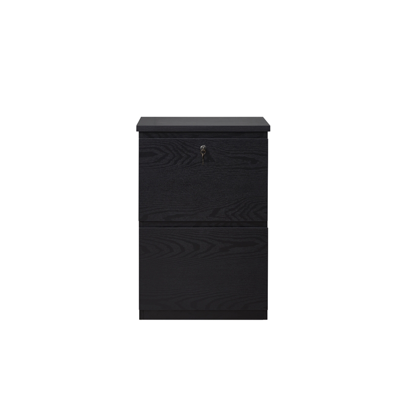 Pemberly Row 2-Drawer Engineered Wood/Metal File Cabinet with Lock in Black