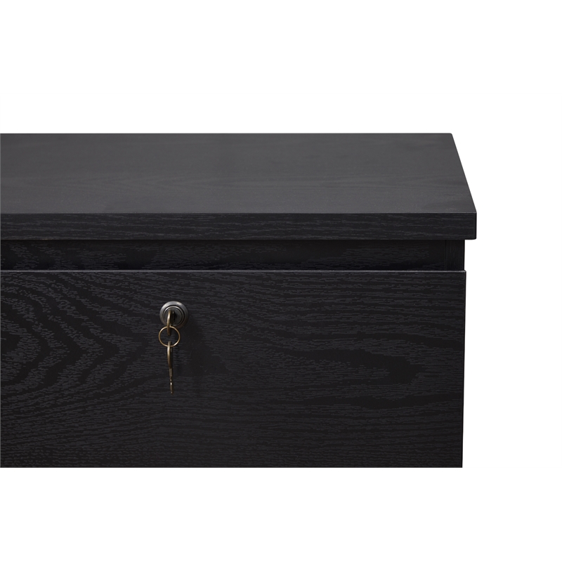 Pemberly Row 2-Drawer Engineered Wood/Metal File Cabinet with Lock in Black