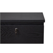 Pemberly Row 2-Drawer Engineered Wood/Metal File Cabinet with Lock in Black