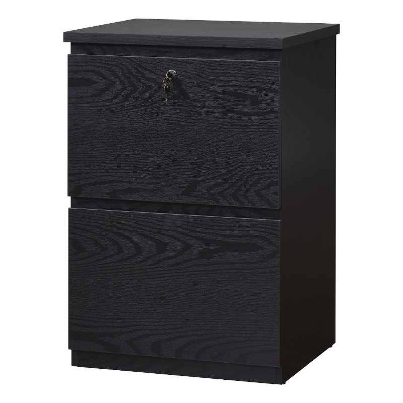 Pemberly Row 2-Drawer Engineered Wood/Metal File Cabinet with Lock in Black