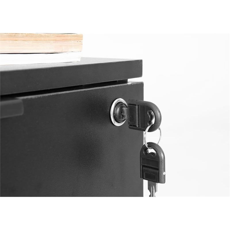 Pemberly Row 3-Drawer Storage Filing Cabinet with Locking Wheels in All Black