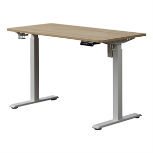 Pemberly Row 48&quot Electric Height Adjustable Wood Standing Desk in Natural/White