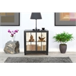 Pemberly Row Contemporary Black Glass Door Cabinet with Shelving